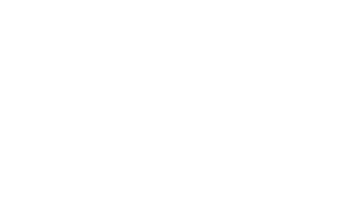 SoftConsulting